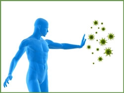 How Curafen curcumin supplement is designed to work